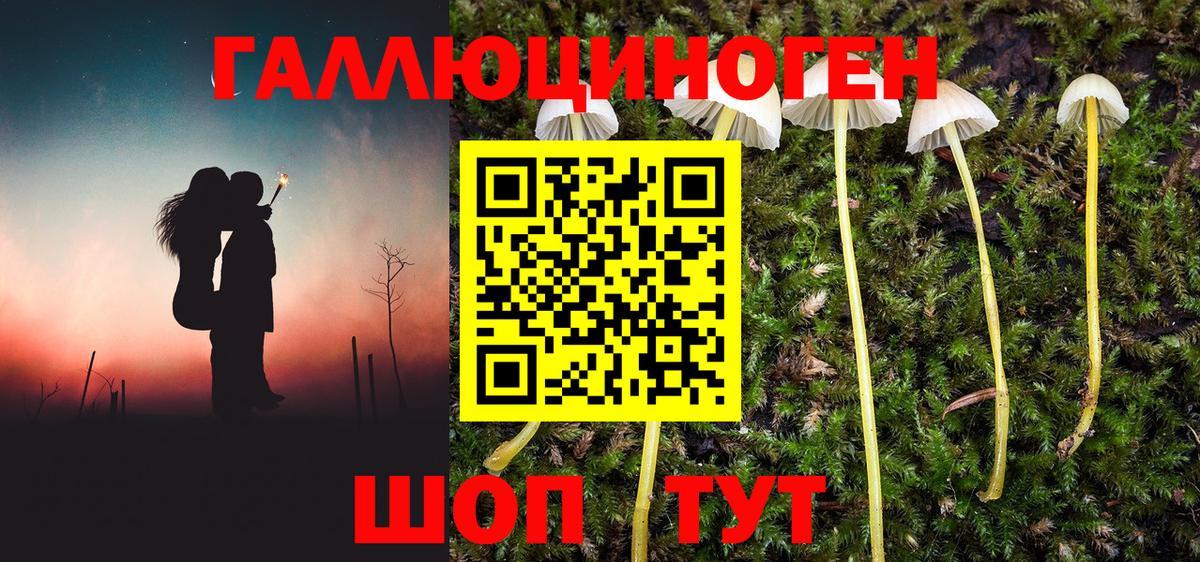 Псилоцибиновые грибы Cubensis  Вход с VPN  Егорьевск 